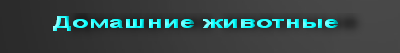 Домашние животные